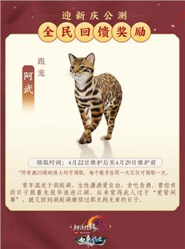 凤凰飞天龙八部私服